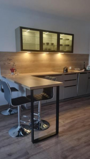 Apartament Stara Elektrownia